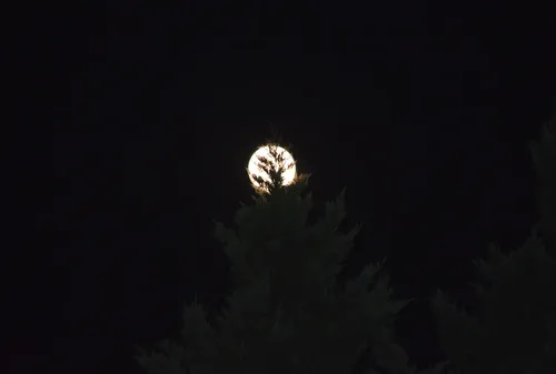 Electronix Express 78ALLENGREY Allen Wrench Set 30 Piece Grey