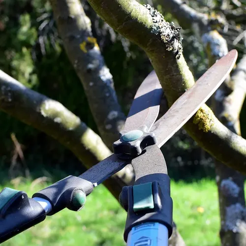 I-PURE ITEMS 8 Inch Pruning Shears Professional Tree Trimmer Garden Shears Hand Pruner - Razor Sharp Bypass Secateurs Ergonomic Gardening Tool for Effortless Cuts