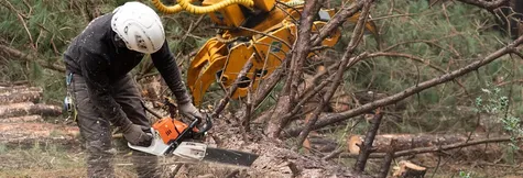 WOLF-Garten 7231009 Tree Saw
