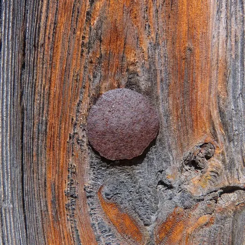 3 COMMON CUT Nails-Antique Style -10d 20 Nails