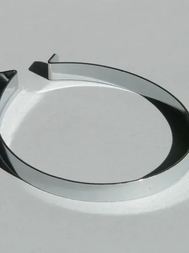 Olympic 2-inch Spring Clip Collars Pair By Sports Fitness Warehouse Model  Sport Outdoor