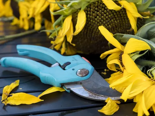 JTHM Power Drive Ratchet Pruning Shears Comfortable Slip Less Effort - Gardening Scissors Tool Ideal Garden Hedge Tree Clippers