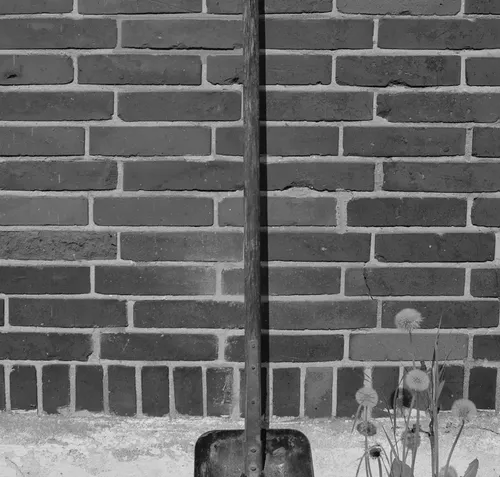 Lyhome Heavy Duty Gardening Tool Set Shovel Rake Spade Hand Trowel Indoor Garden Tools for House Plants