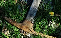 TooLoud-Bernie-Sanders-NOT-FOR-SALE-9-x-10-5-Rectangular-Static-Wall-Cling-25.jpg