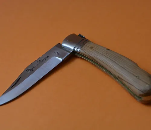 Buck Knives 385 Toothpick Compact Folding Pocket Knife Wood Handle