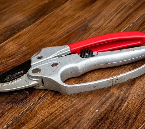 Zenport Z305 8 Heavy Duty Forged Japanese Style Ergonomic Pruner