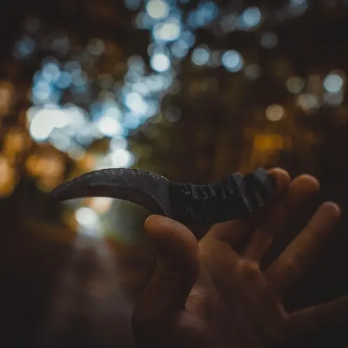 Buck 379BRS Solo Folding Pocket Knife