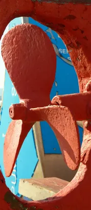 Replacement screws