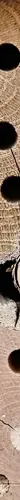 Bosch BL2131 Fractional Jobber Length Black Oxide Drill Bit 116-Inch 2-Pack