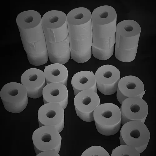 Bernie Sanders Novelty Toilet Paper w Gift Box