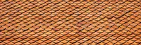 250-Sheet-Metal-ROOFING-SCREWS-10-IVY-GREEN-FOREST-GREEN-1-1-2-Hex-Washer-Head-Metal-Roof-Screw-Self-starting-self-tapping-metal-to-wood-sheet-metal-roofing-siding-screws-with-EPDM-washer-seal-Roof-screw-w-painted-heads-For-corrugated-roofing-8.jpg