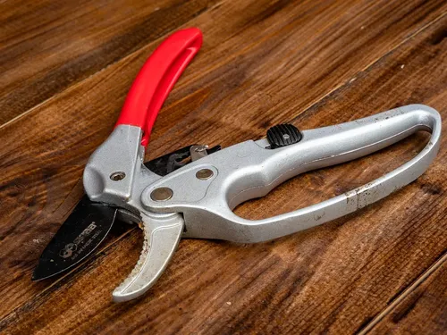 Zenport QZ408 Ergonomic Professional Pruner 1-Inch Cut 825-Inch Long
