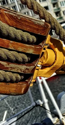 RONSTAN RF50100HL Single Pulley with Swivel Shackle Head 3310 Capacity 12 Rope Diameter