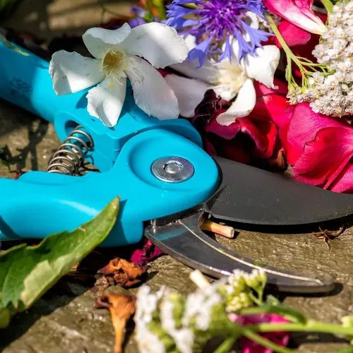 Garden Pruning Shears Secateurs pruner 21 cm  825 inch No2 versionx8 by DELIAWINTERFEL