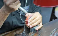 1-2-in-Brass-Drift-Punch-Tools-Equipment-Hand-Tools-46.jpg