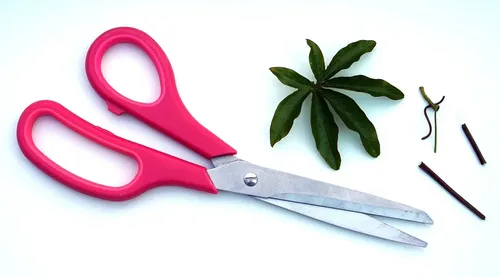 Bahco Ergonomic Pruner with Fixed Large Handle PX-L2 by Bahco